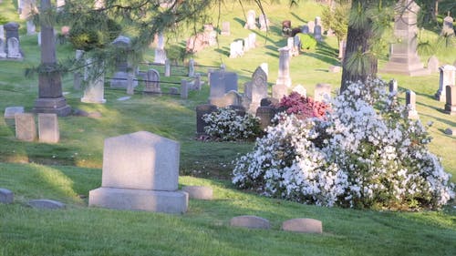 有关墓园, 户外, 纪念公园的免费素材视频