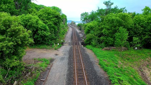 有关基础设施, 推球, 植物的免费素材视频