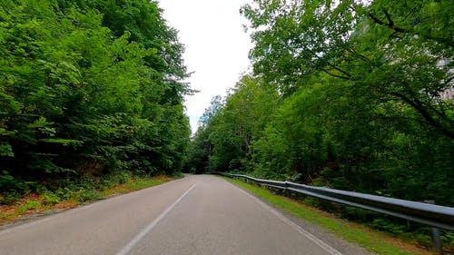 有关天性, 延时视频, 户外的免费素材视频