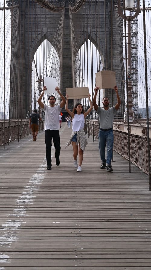 有关垂直视频, 多样化, 女人的免费素材视频