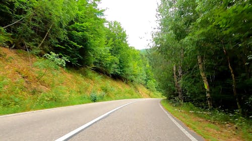 有关天性, 延时视频, 户外的免费素材视频