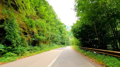 有关天性, 延时视频, 户外的免费素材视频