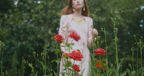 有关女人, 户外, 植物群的免费素材视频