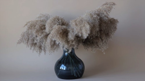 有关干草,潘帕斯,特写的免费素材视频