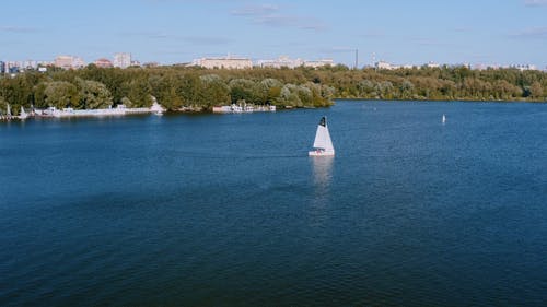 有关天性, 户外, 树木的免费素材视频
