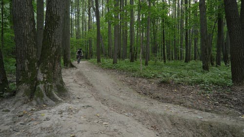 有关BMX, 人, 单车骑士的免费素材视频