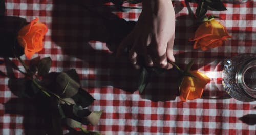 有关手, 握住, 水的免费素材视频