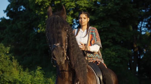 有关女人, 家畜, 抚摸的免费素材视频