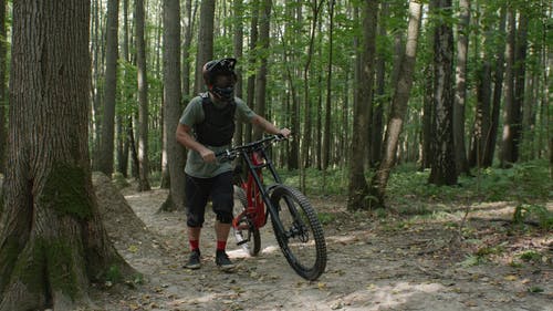 有关BMX, 单车骑士, 夏天的免费素材视频