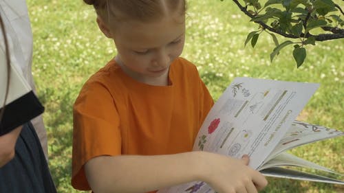 有关女孩, 学习, 工厂的免费素材视频