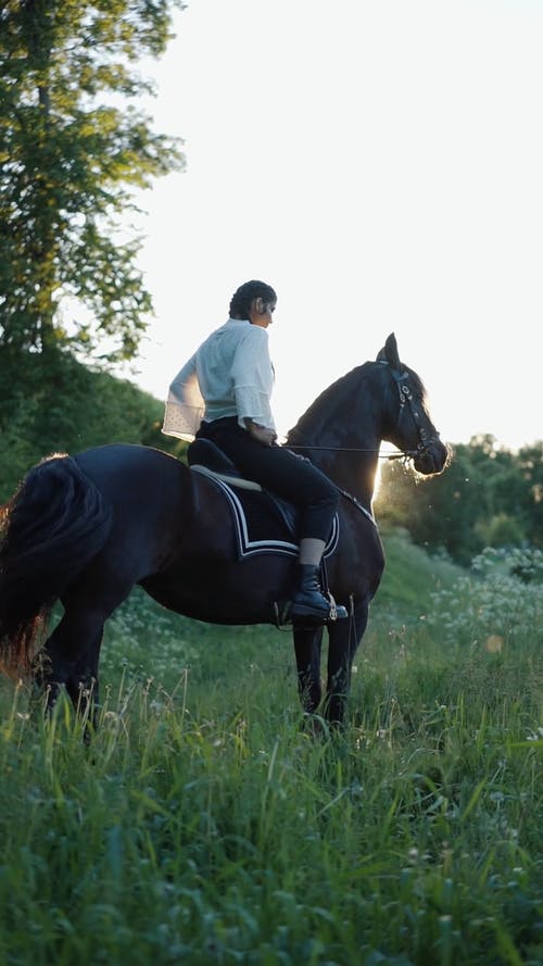 有关垂直视频, 女人, 家畜的免费素材视频