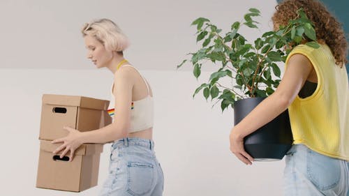 有关一对, 同志文化, 地板的免费素材视频