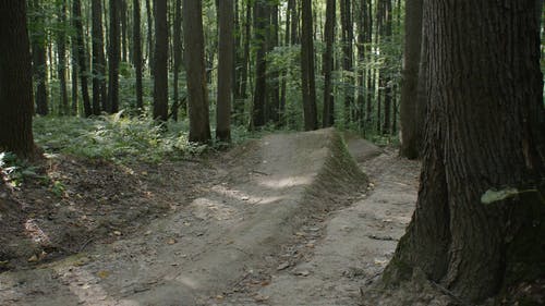 有关BMX, 单车骑士, 天性的免费素材视频