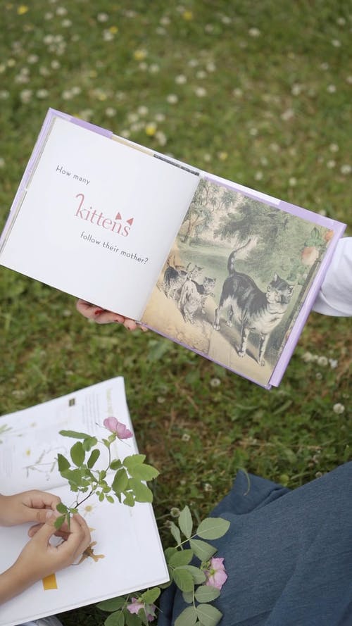 有关公园, 可爱, 坐的免费素材视频