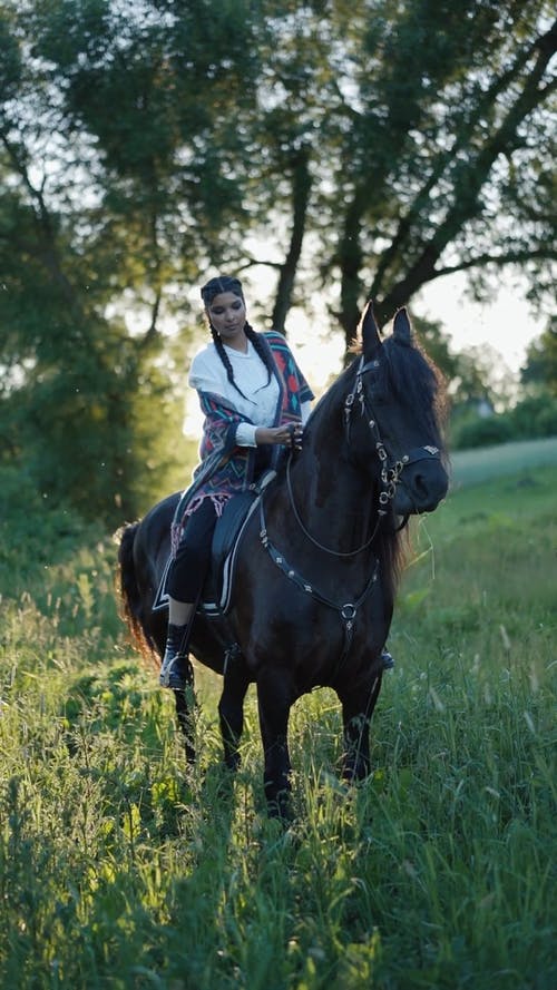 有关垂直视频, 女人, 家畜的免费素材视频