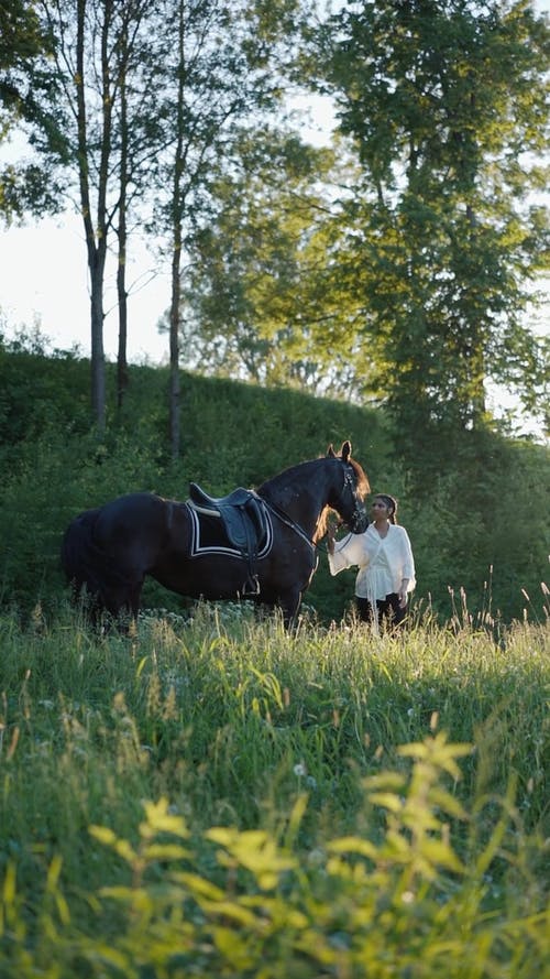 有关动物爱好者, 垂直视频, 女人的免费素材视频