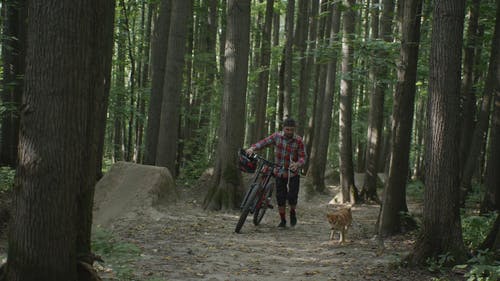 有关BMX, 一起, 人的免费素材视频