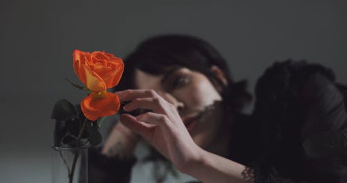 有关女人, 室内, 微笑的免费素材视频