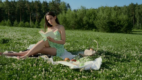 有关人, 假期, 坐的免费素材视频