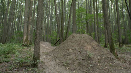 有关BMX, 单车骑士, 天性的免费素材视频