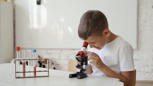 有关学校, 学习, 实验的免费素材视频