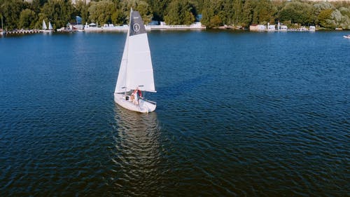 有关户外, 日光, 树木的免费素材视频