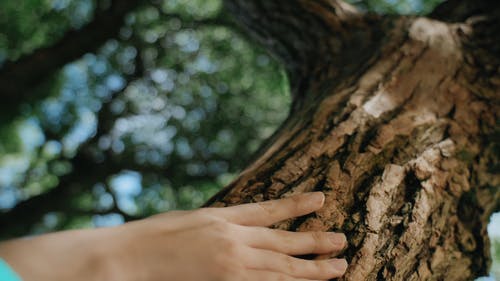 有关人, 接触, 特写的免费素材视频