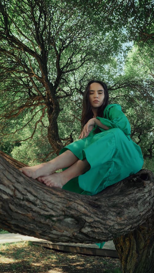 有关人, 分公司, 垂直视频的免费素材视频