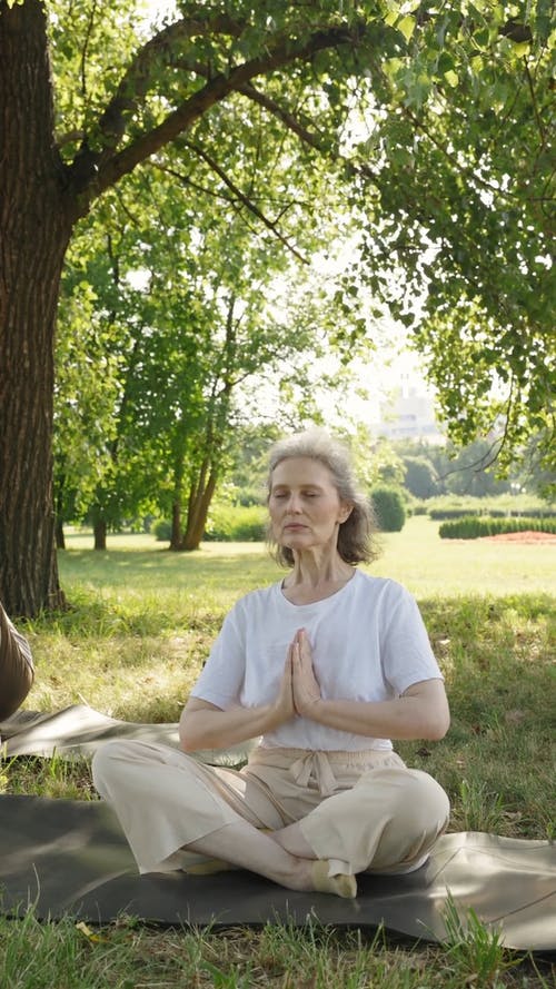 有关padmasana, 垂直视频, 女人的免费素材视频