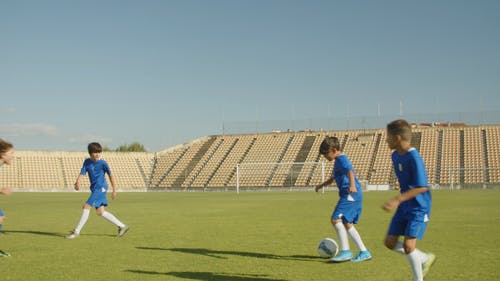 有关团队, 孩子, 年轻的免费素材视频