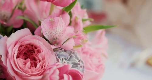 有关享受, 吃, 微笑的免费素材视频