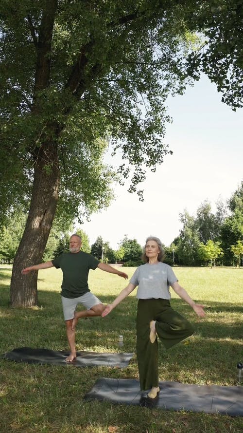 有关vrksasana, 一对, 人的免费素材视频