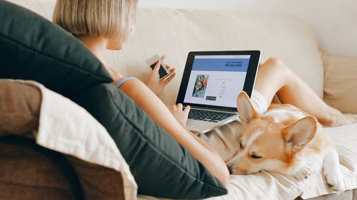 有关伴侣, 关闭, 可爱的免费素材视频