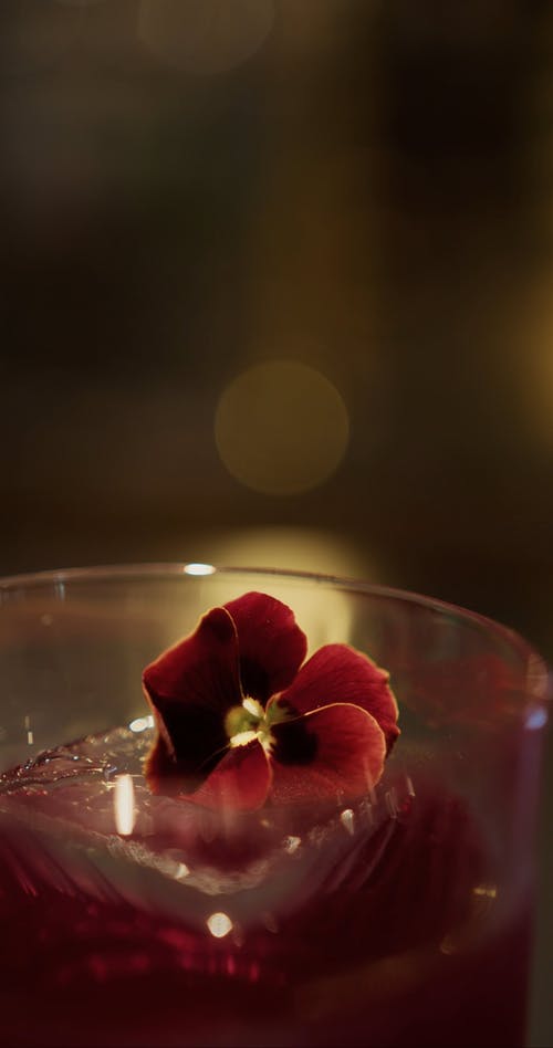 有关垂直视频, 浅焦点, 爽快的免费素材视频