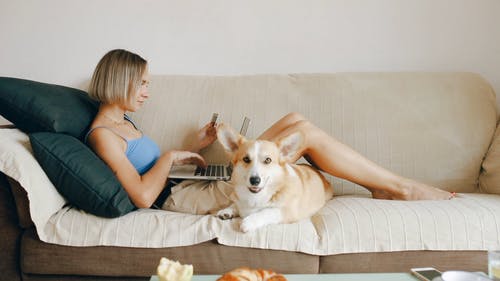 有关伴侣, 信用卡, 关闭的免费素材视频