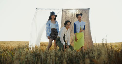 有关投影, 日光, 窗帘的免费素材视频