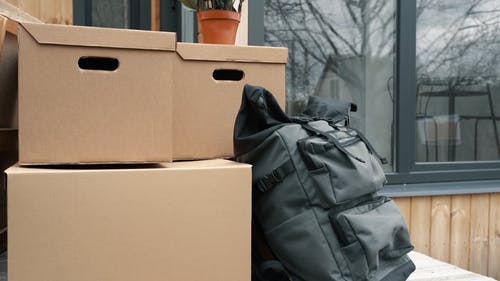 有关公寓, 室内, 室内植物的免费素材视频