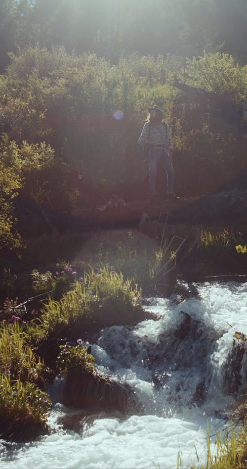 有关垂直视频, 天性, 工厂的免费素材视频