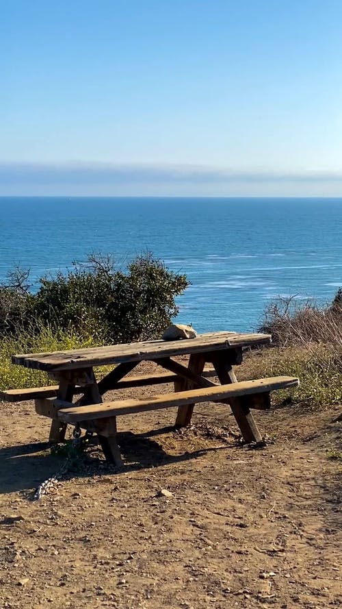 有关优美的风景, 地平线, 垂直视频的免费素材视频