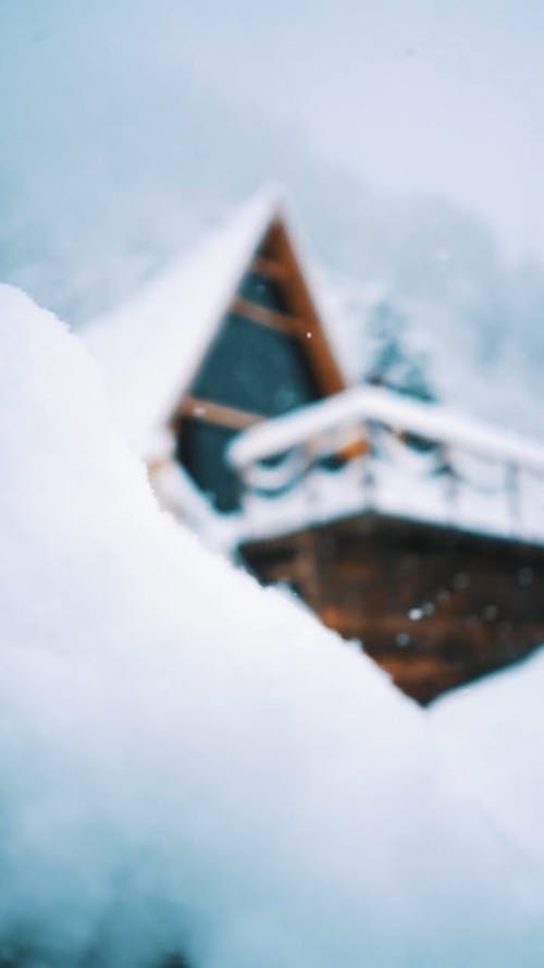有关冬季, 垂直视频, 大雪覆盖的免费素材视频