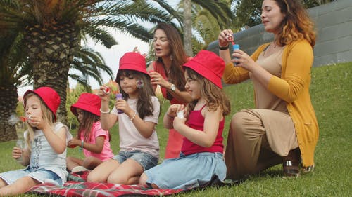 有关公园, 吹, 坐的免费素材视频