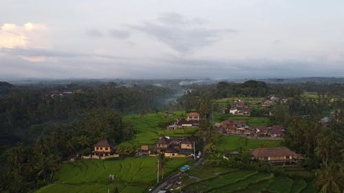 有关农业用地, 印尼, 巴厘岛的免费素材视频