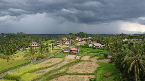 有关农业用地, 印尼, 多云的的免费素材视频
