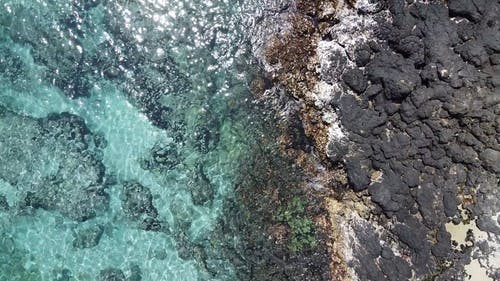 有关岩石海岸, 招手, 水的免费素材视频