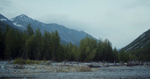 有关大自然, 天性, 山的免费素材视频