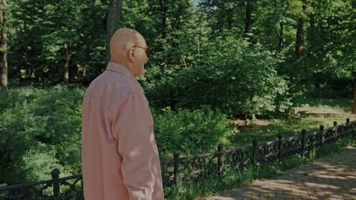 有关一对, 一起, 公园的免费素材视频