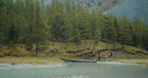 有关一对, 一起, 人的免费素材视频