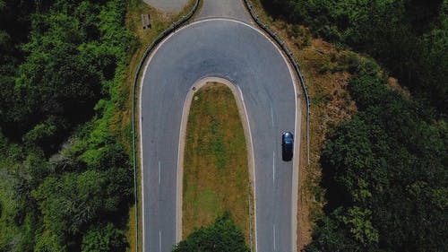 有关天性, 弧线, 户外的免费素材视频