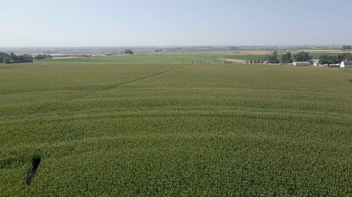 有关农业用地, 农场土地, 田的免费素材视频