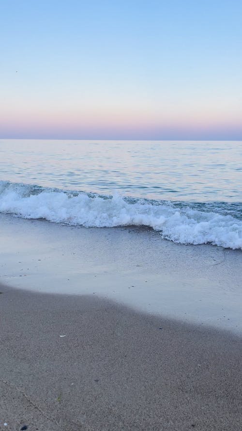 有关垂直视频, 天性, 岸边的免费素材视频